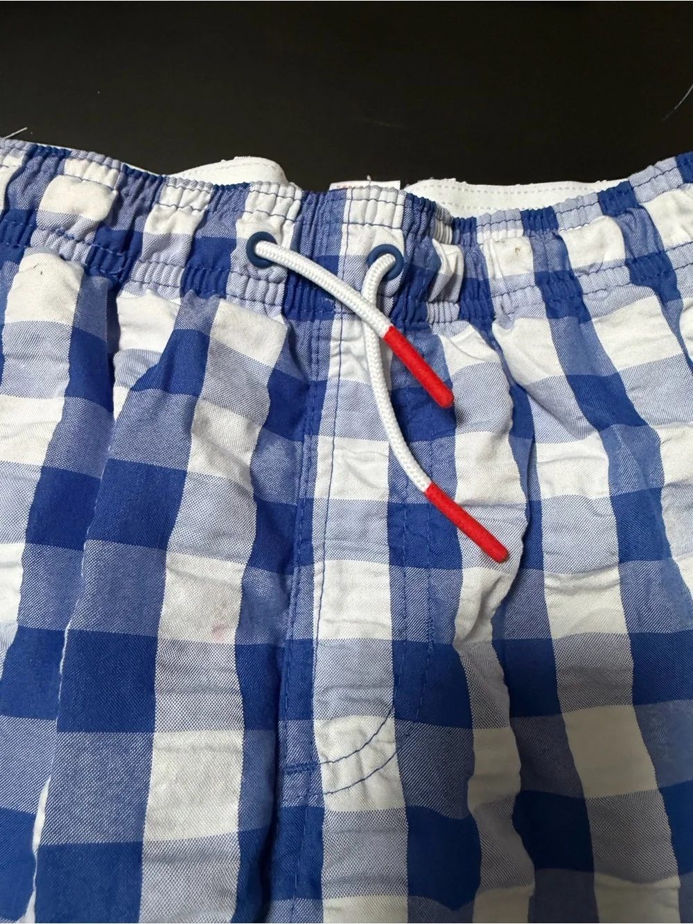 Cat & Jack Blue and White Gingham Swim Trunks